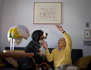 智能化且具有学习能力的网页在线DDOS压力测试