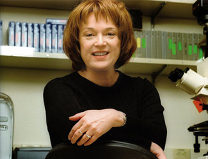 ddos攻击器安卓ios下载